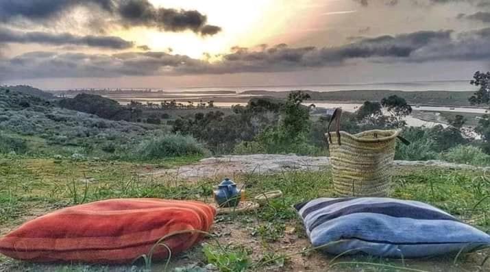 Araucaria Villa Oualidia Bagian luar foto