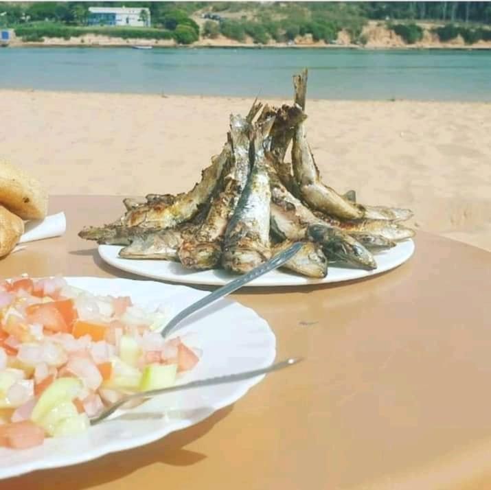 Araucaria Villa Oualidia Bagian luar foto